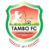 坦博足球俱乐部 队徽