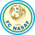 纳萨夫 队徽